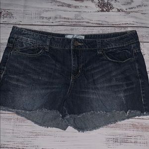 Classic Denim Shorts